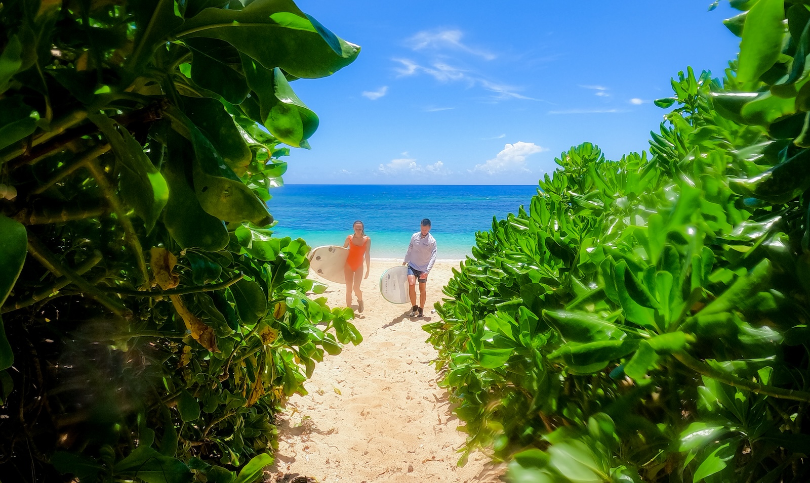 お客様からの思い出写真