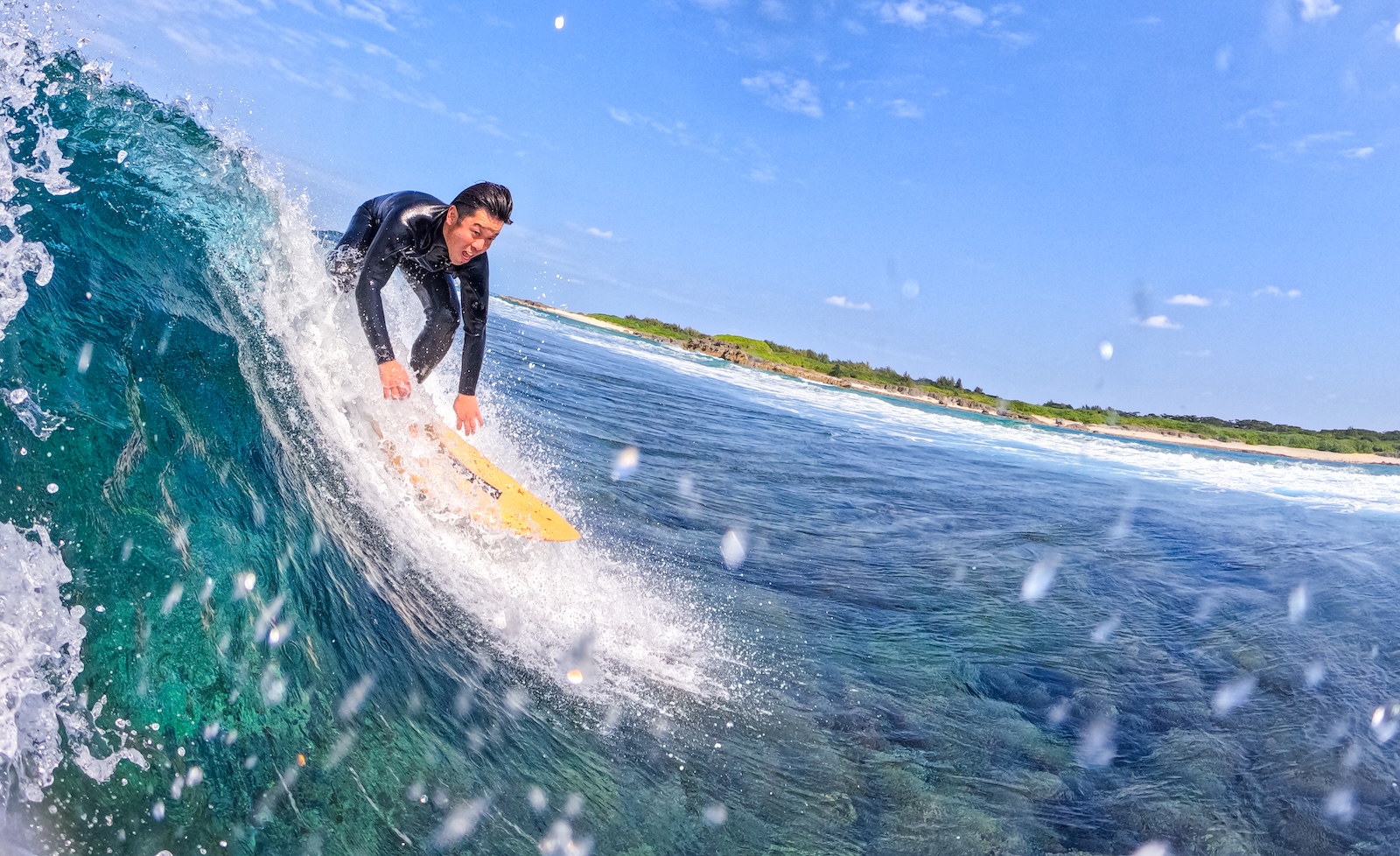 お客様からの思い出写真