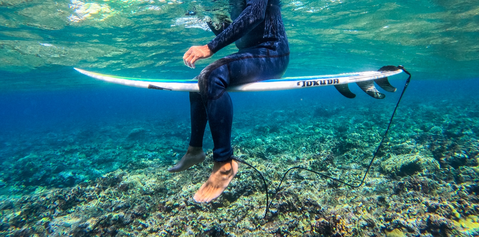 お客様からの思い出写真