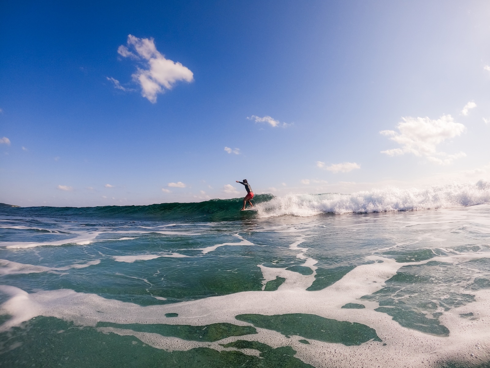 お客様からの思い出写真